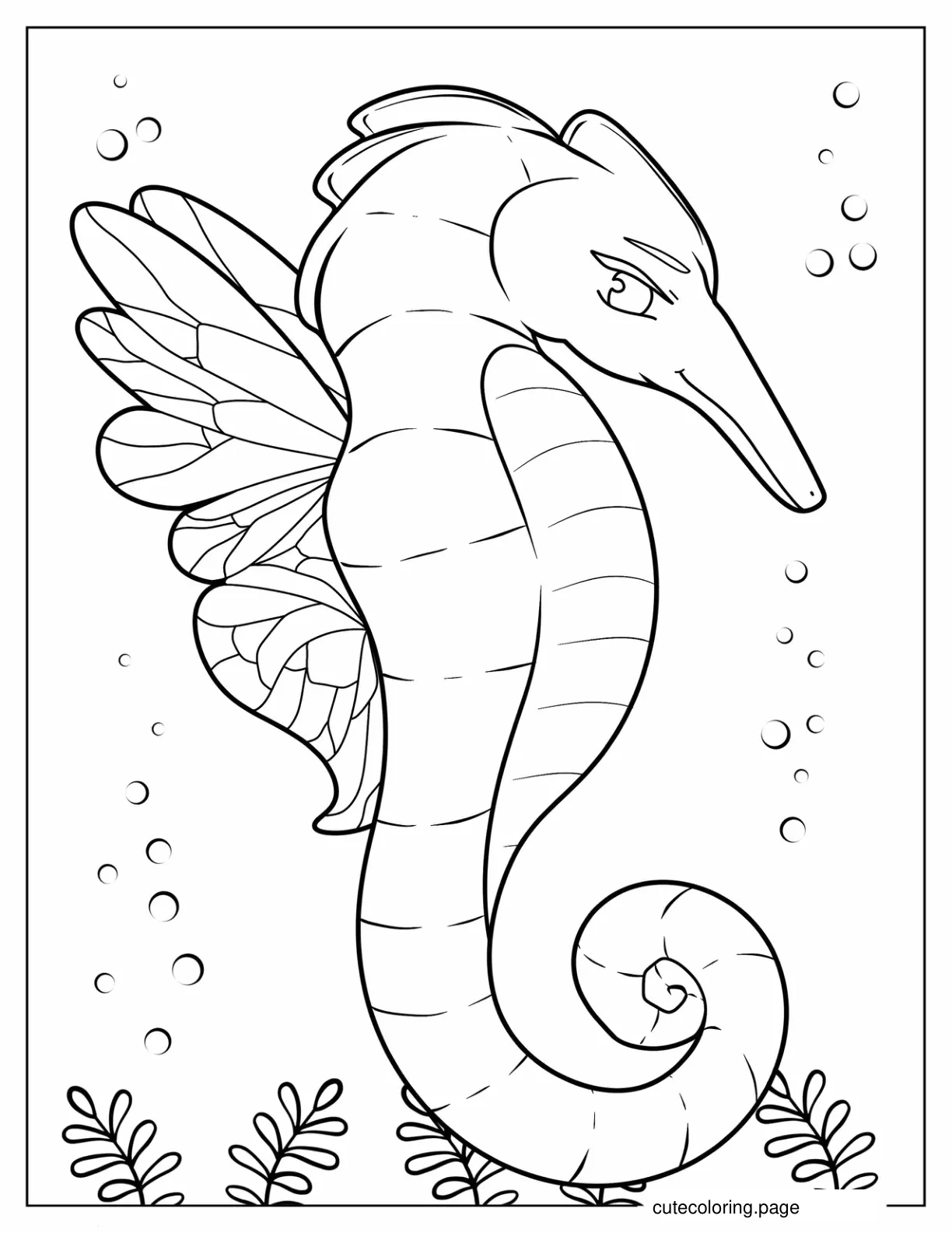 Seahorse With Butterfly Wings coloring page