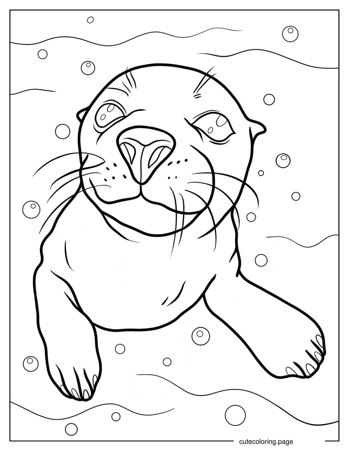 Close Up Of Seal_s Face coloring page