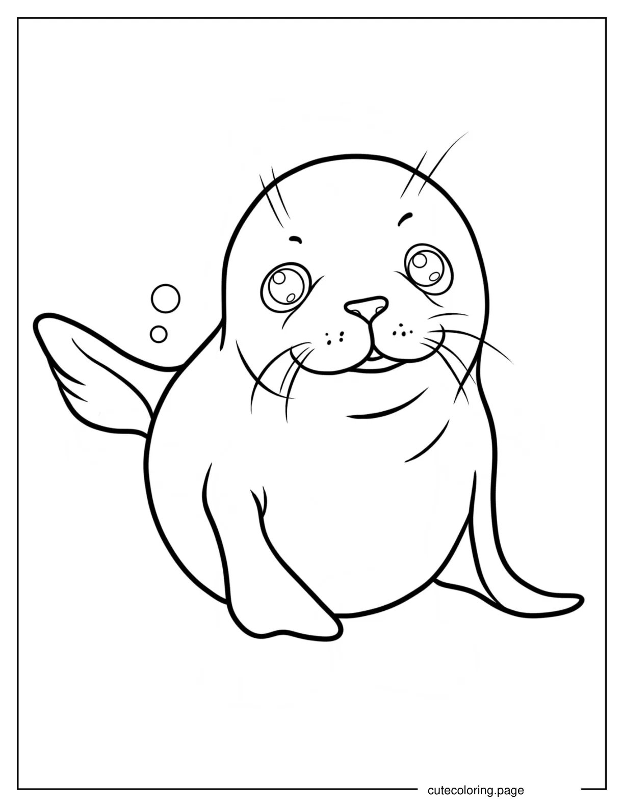 Easy Outline Of Baby Seal Coloring Page coloring page