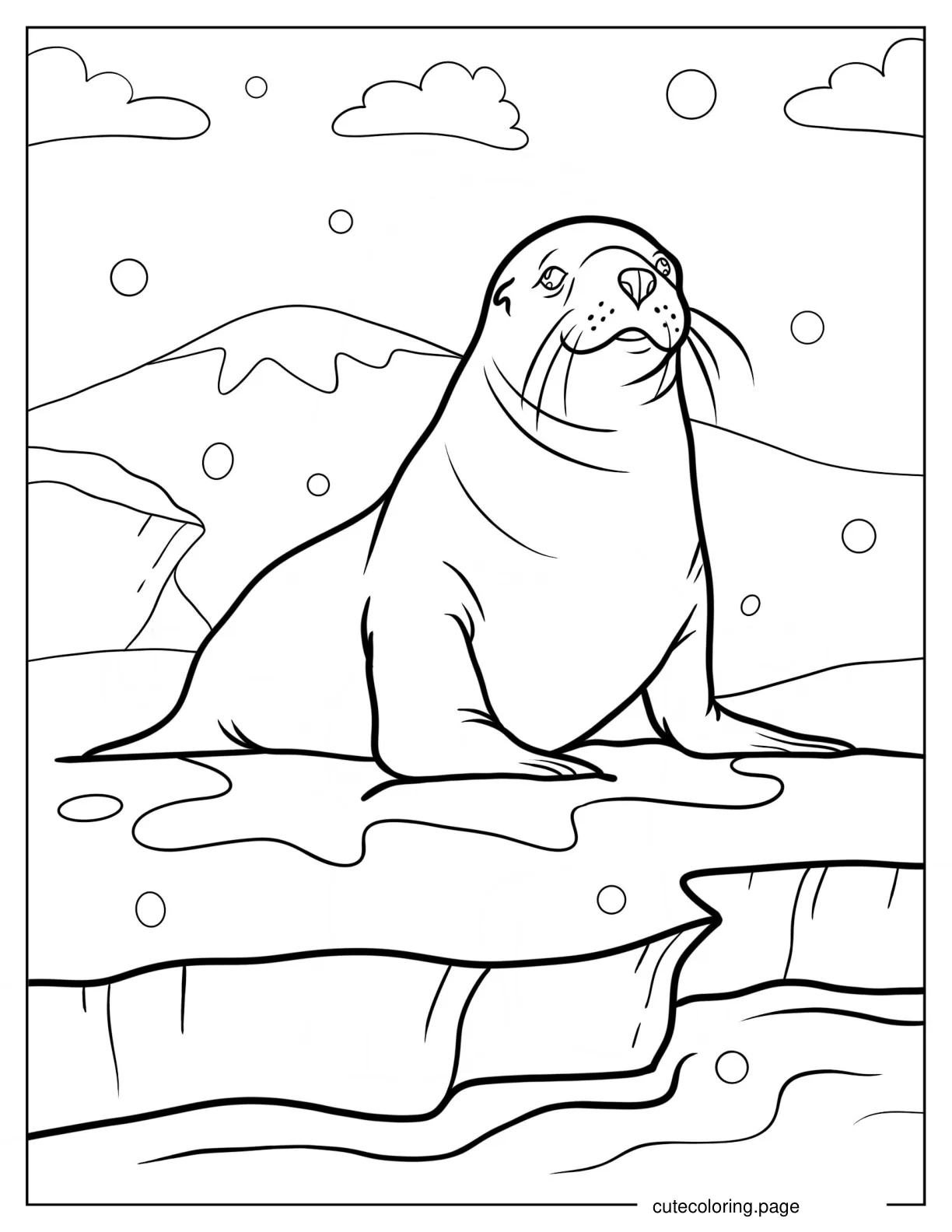 Realistic Seal Looking Up At The Sky coloring page