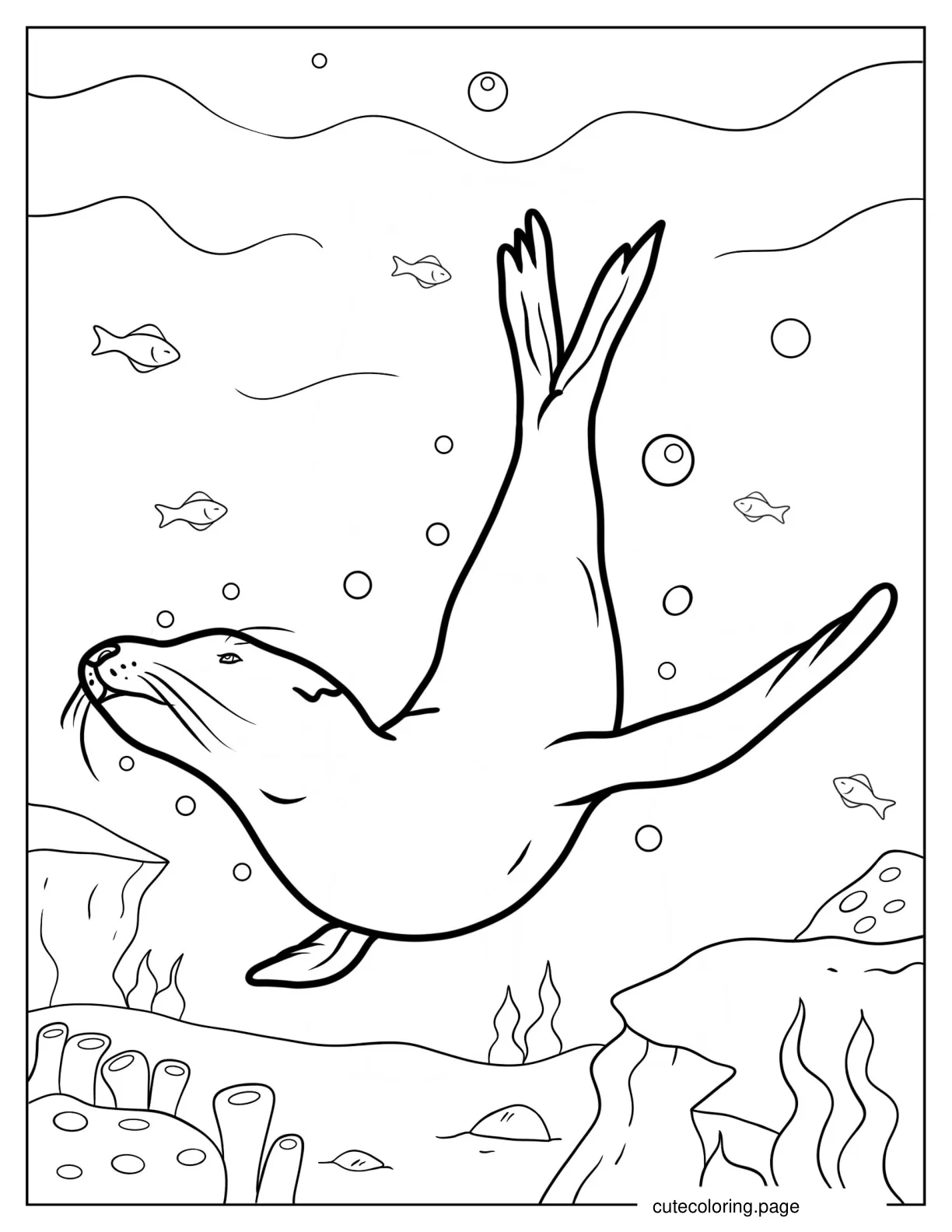 Seal Diving In The Water Coloring Page coloring page