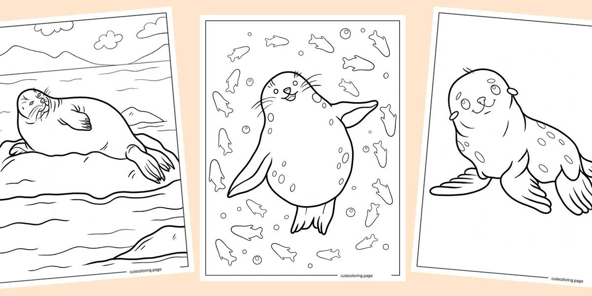 seal-coloring-pages