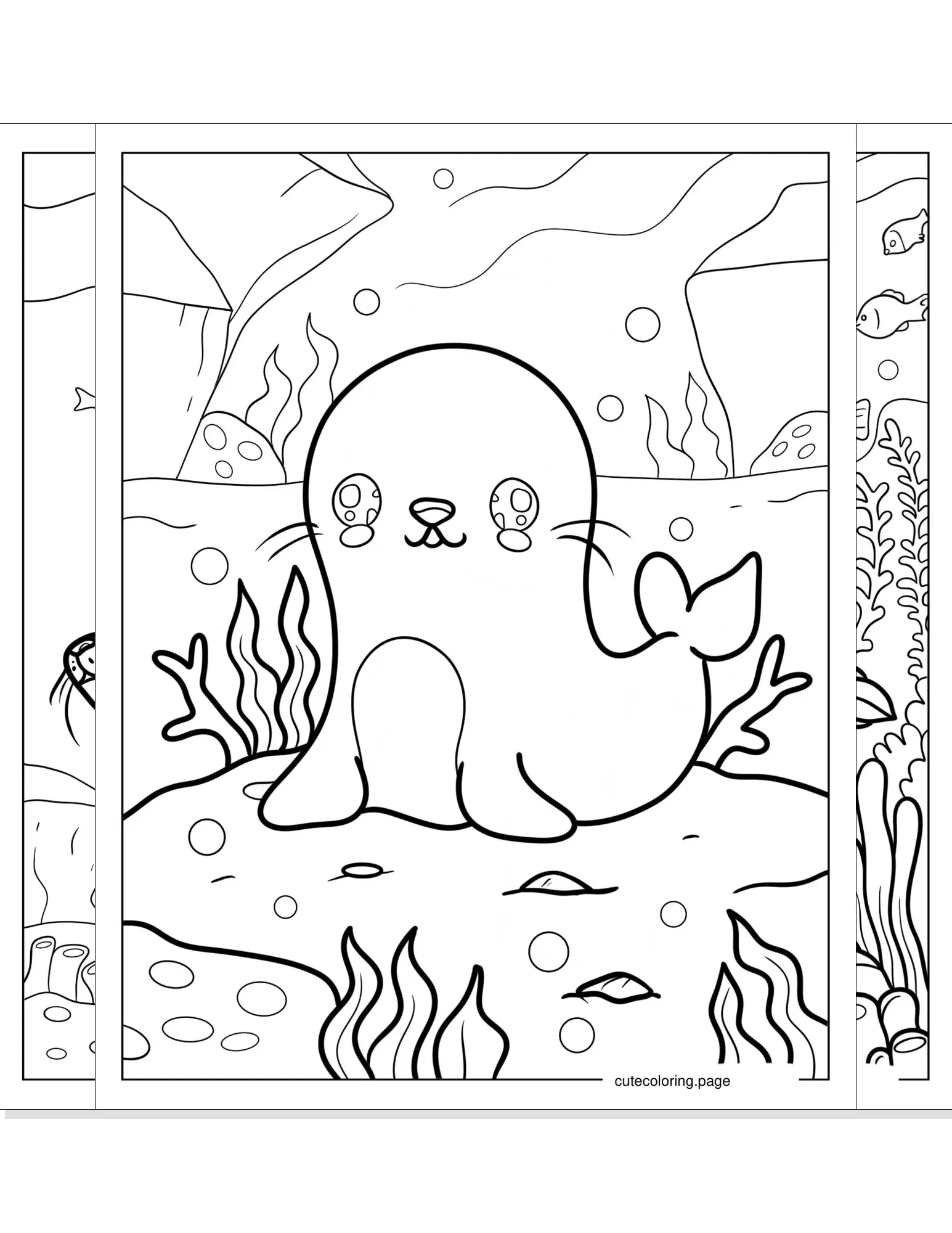 seal coloring pages coloring page