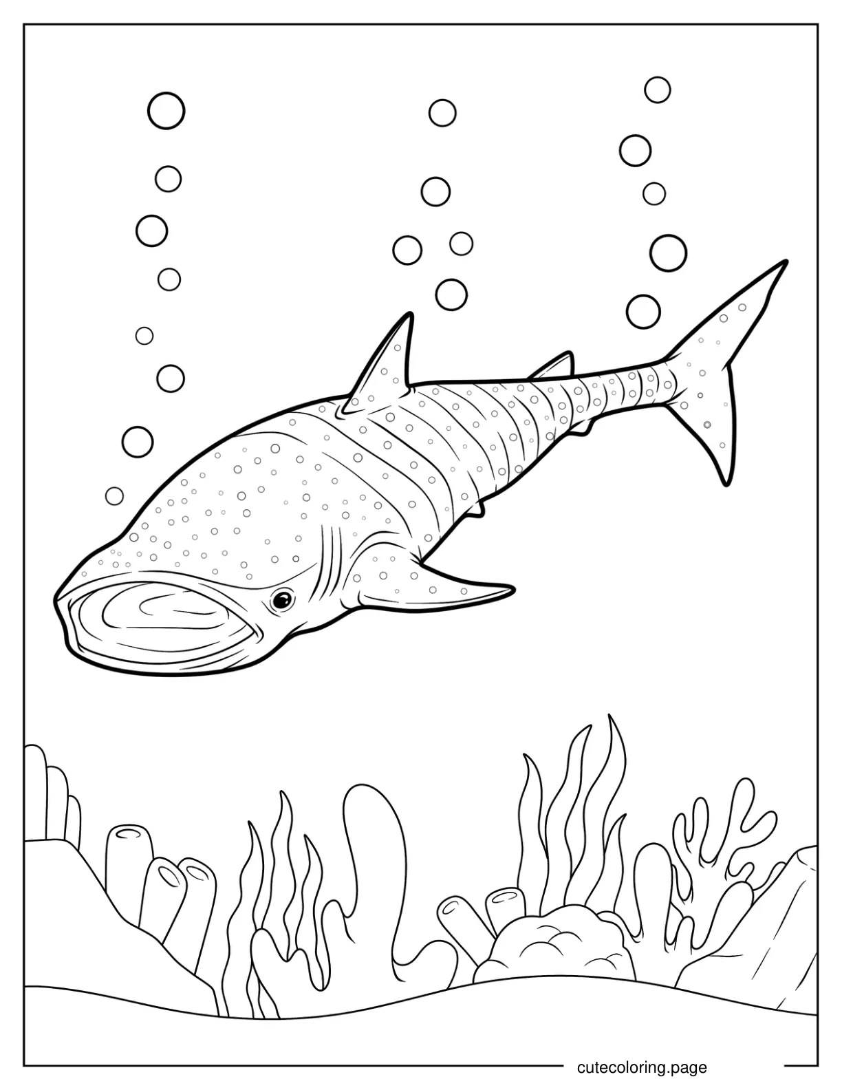 Detailed Whale Shark Coloring Page coloring page