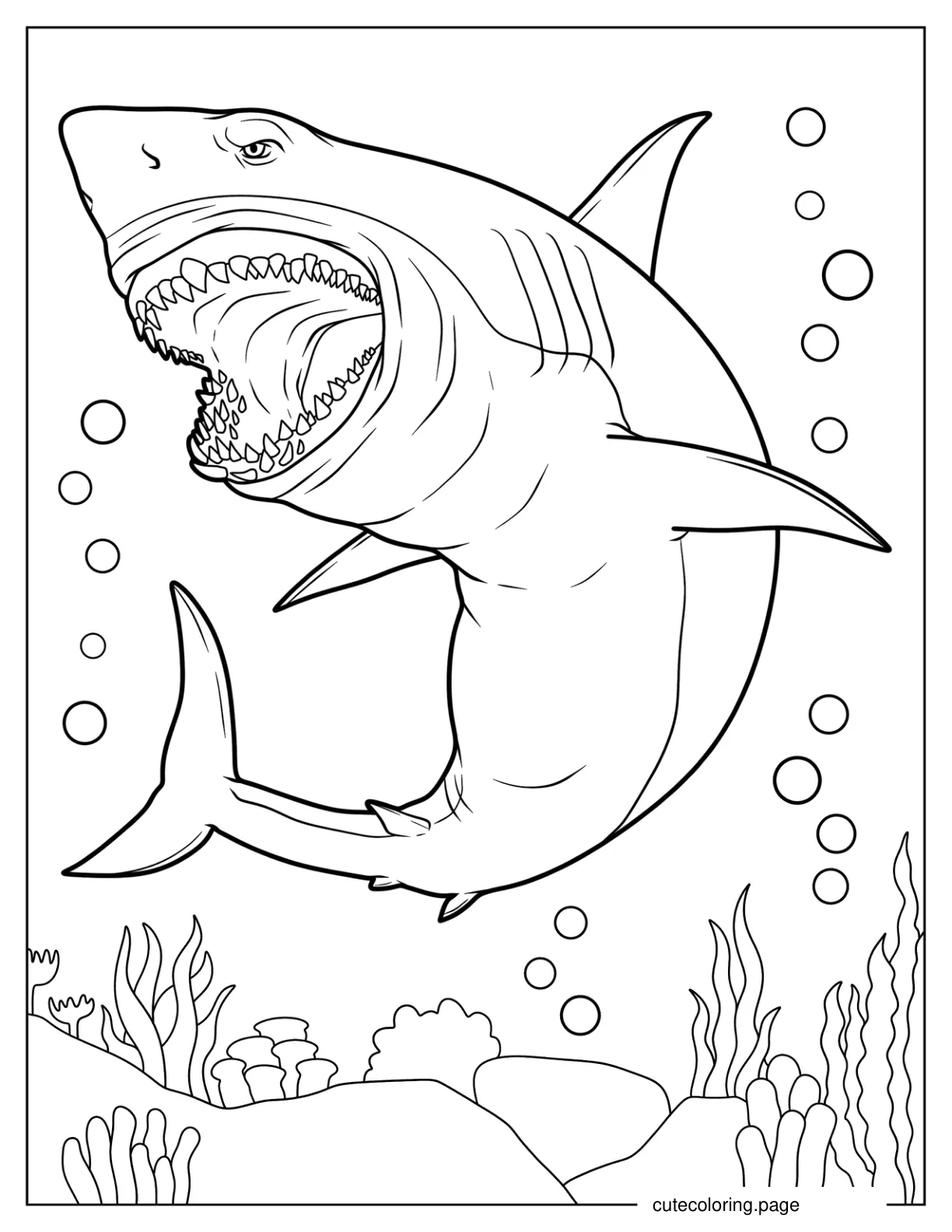 Great White Shark With Mouth Open coloring page