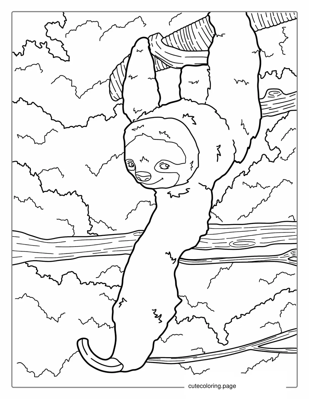 Adult Sloth Reaching Out For Food To Color coloring page