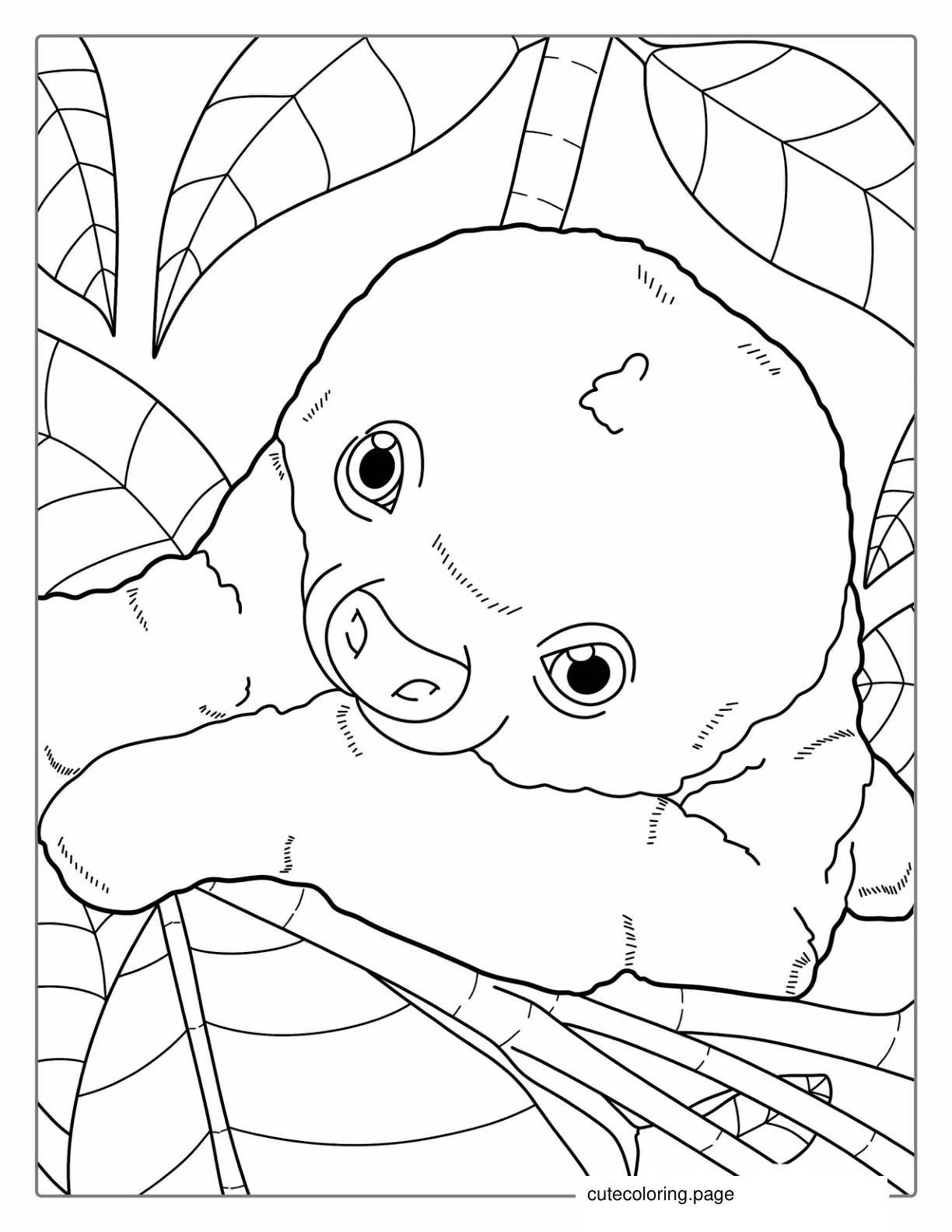 Easy Baby Sloth Coloring Sheet For Preschoolers coloring page