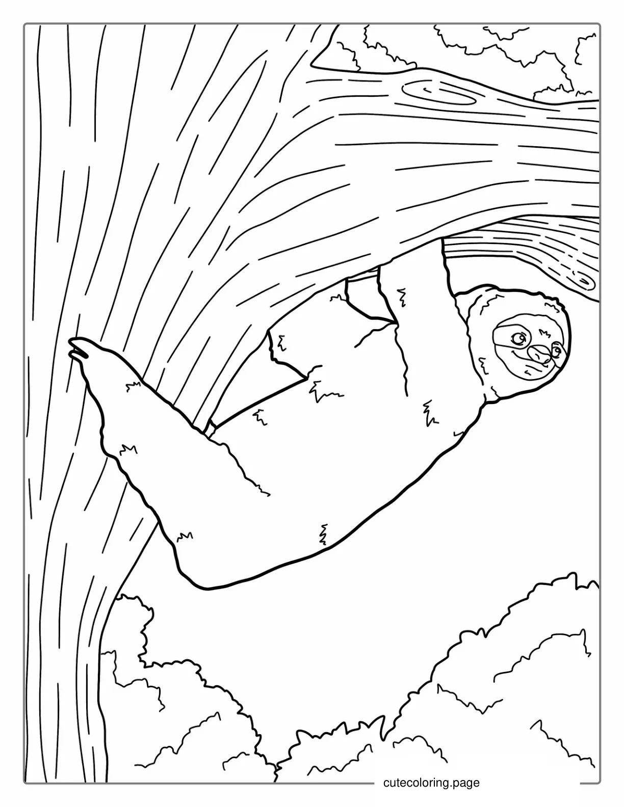 Sloth Climbing Up Tree To Color coloring page