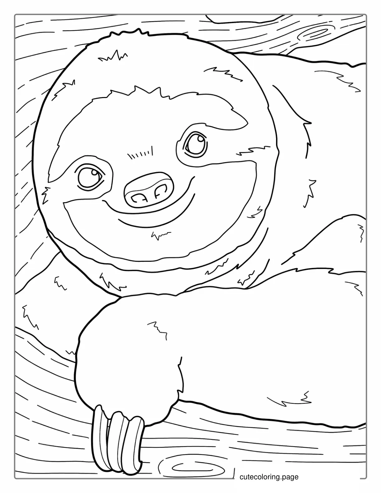 Smiling Sloth Coloring Sheet coloring page