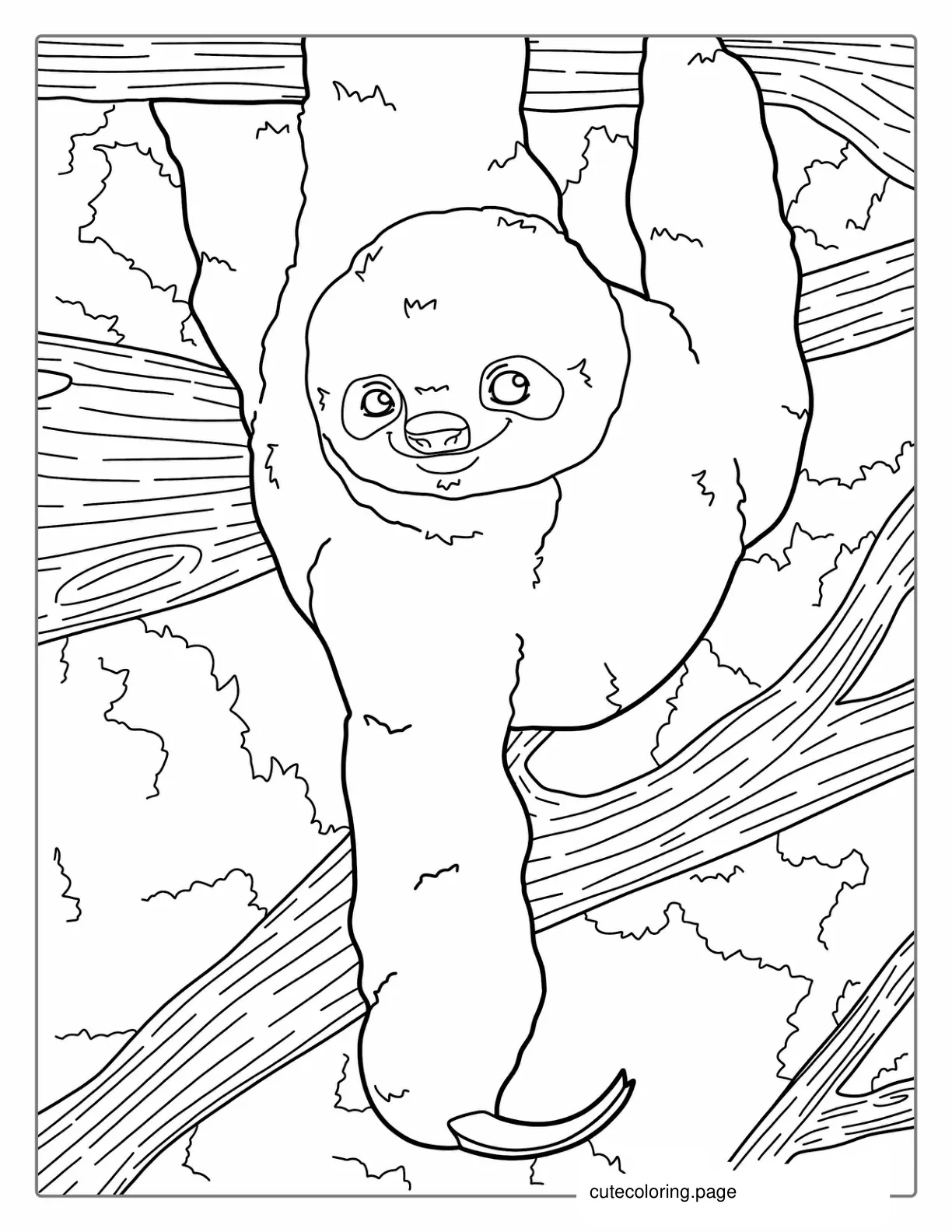 Smiling Sloth Hanging From Tree Branch To Color coloring page