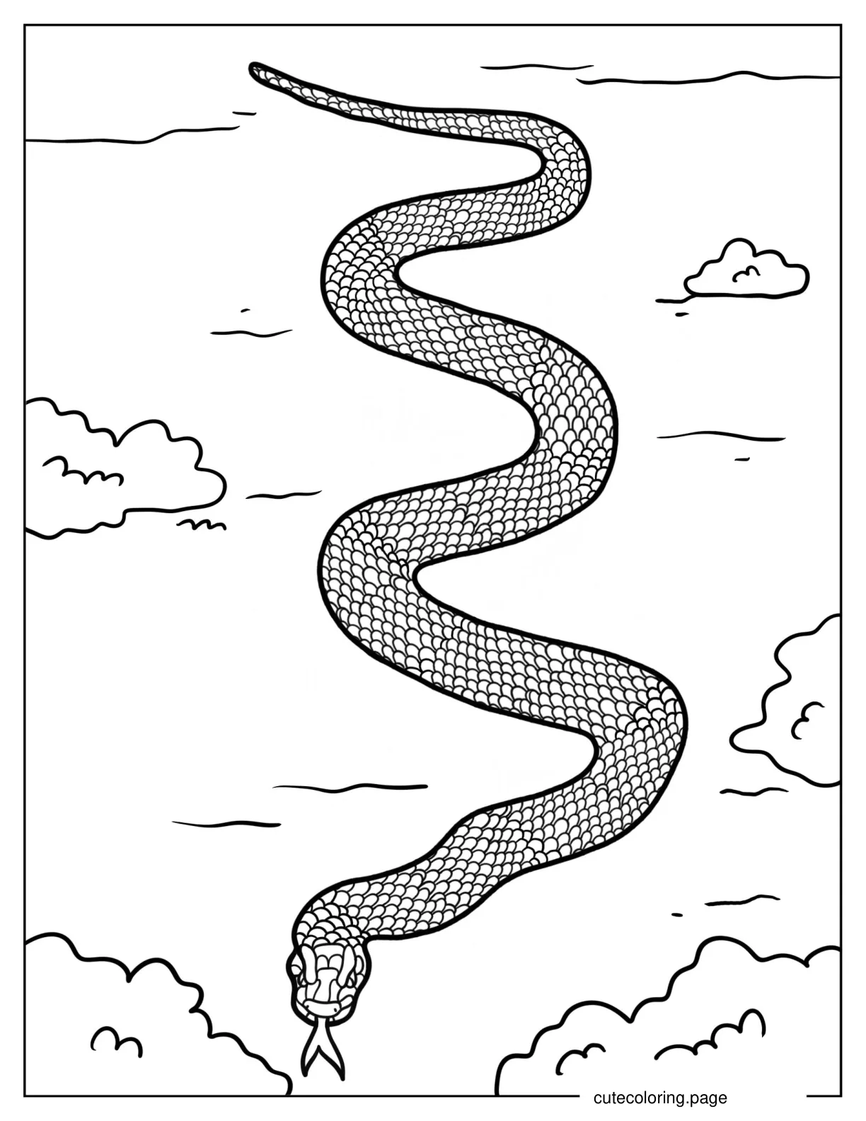 Australian Red Belly Black Snake coloring page