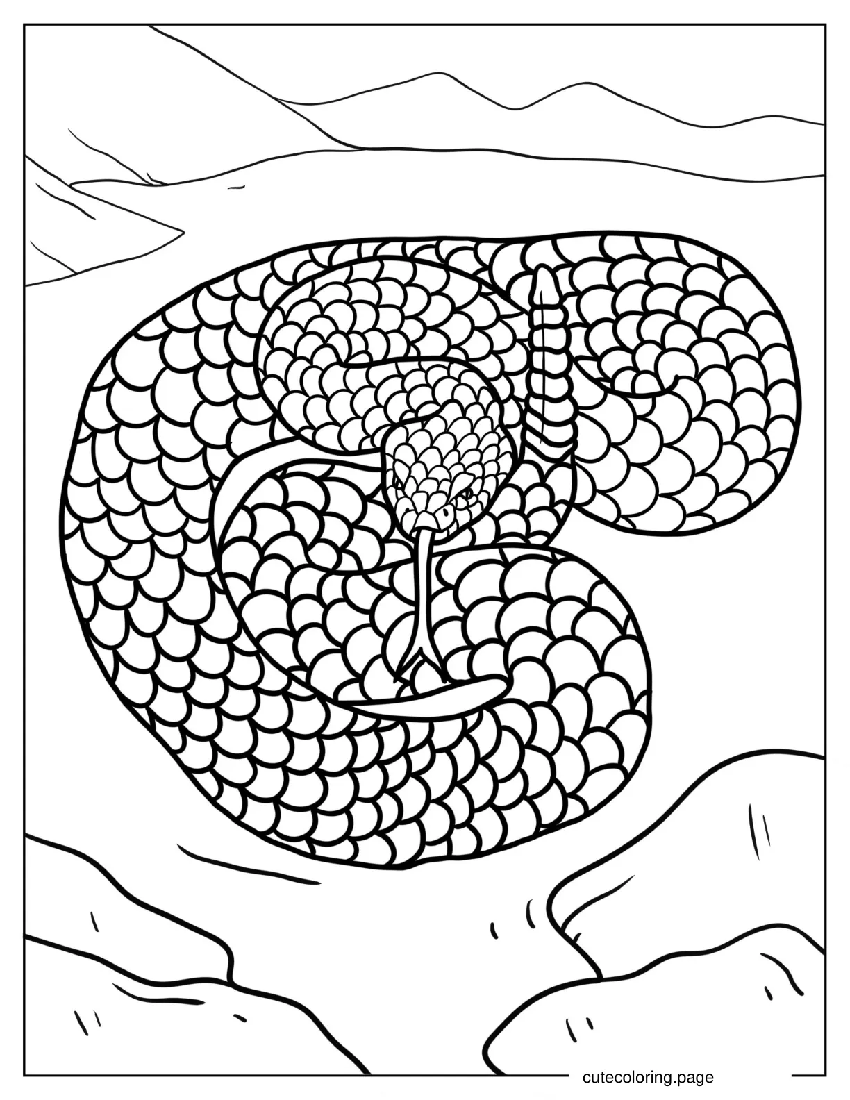 Baby Venomous Rattlesnake coloring page