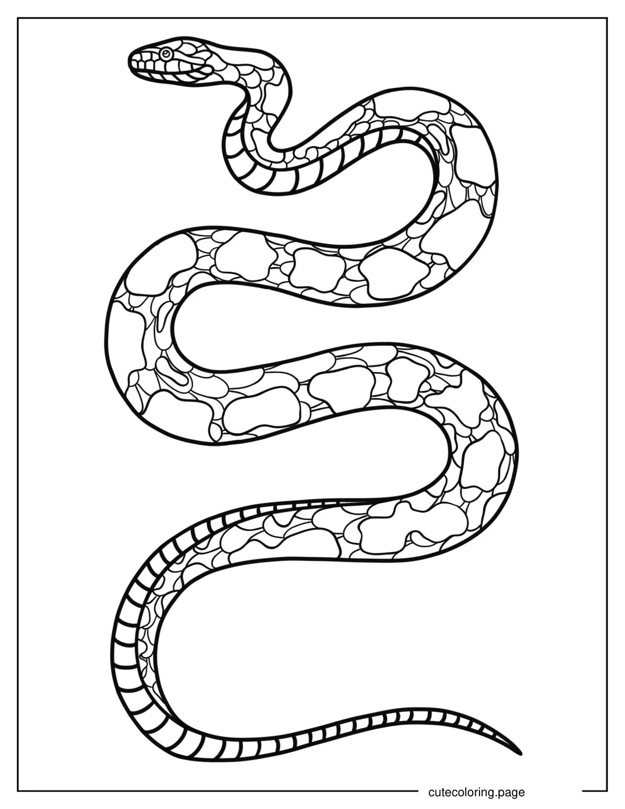 Burmese Python To Color coloring page