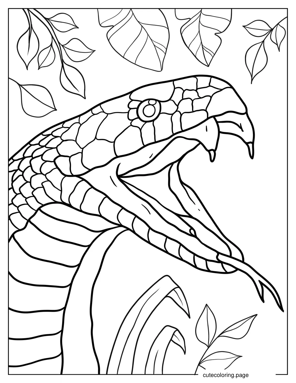 Close Up Of Snake With Fangs Out coloring page