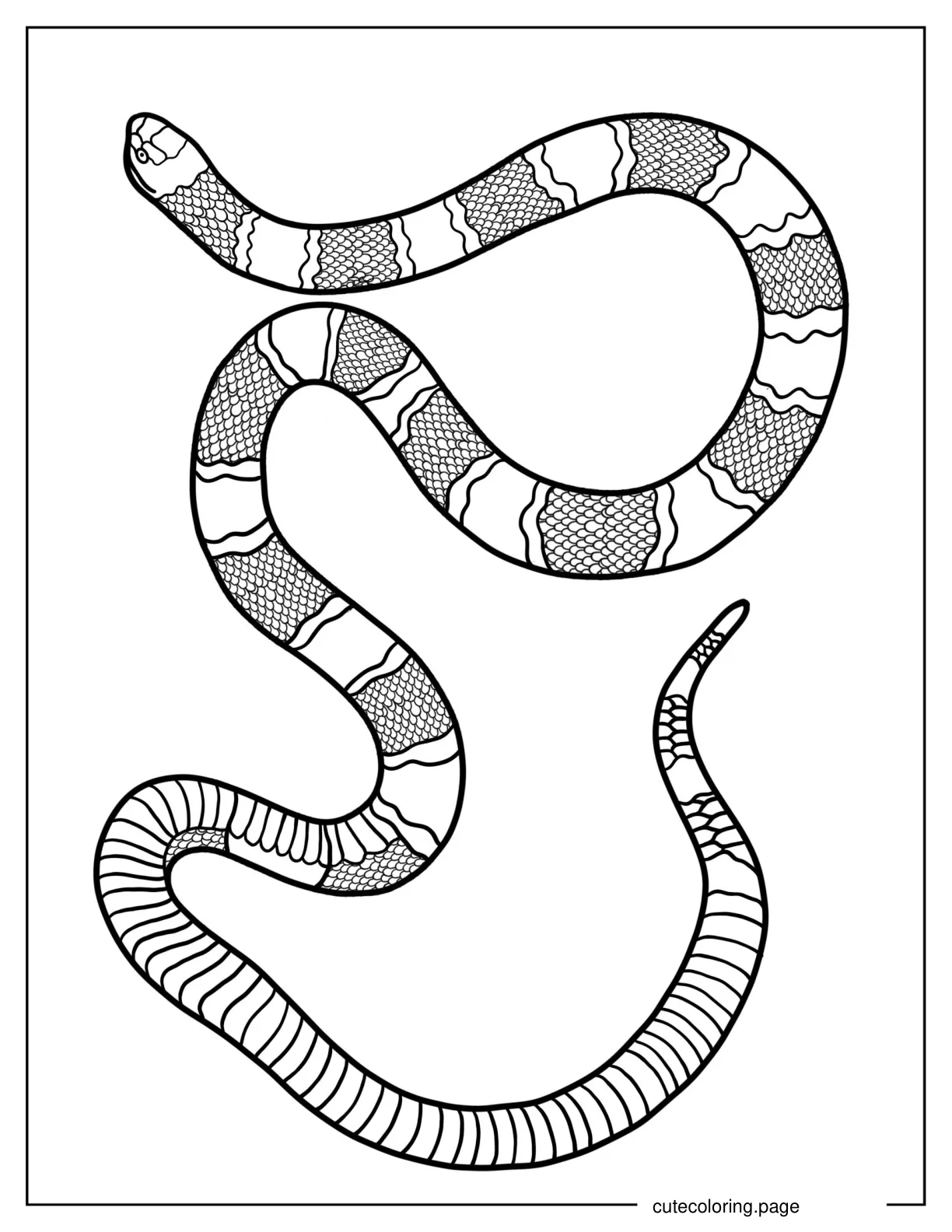 Coral Snake Coloring Sheet coloring page