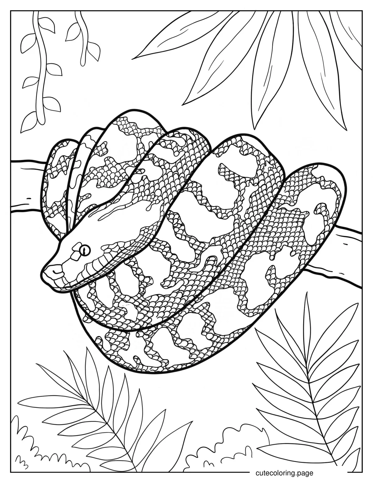 Detailed Curled Uo African Rock Python coloring page