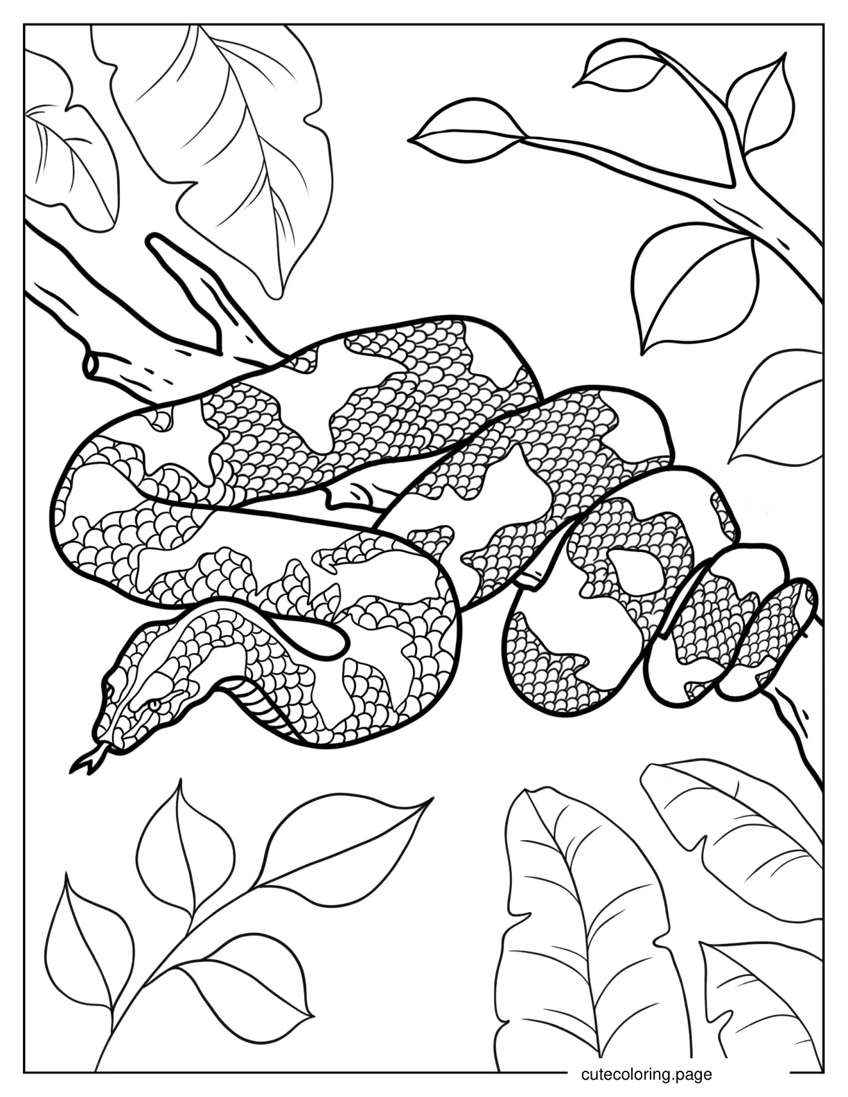 Large Python Hiding In Tree coloring page