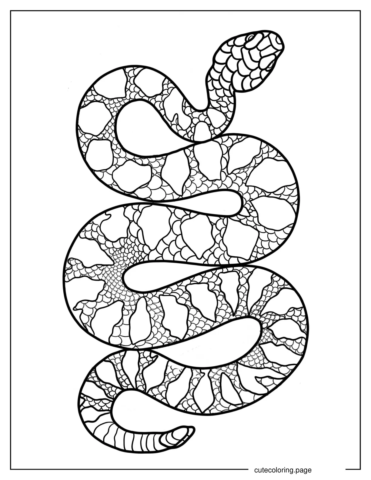 Large Python Snake coloring page