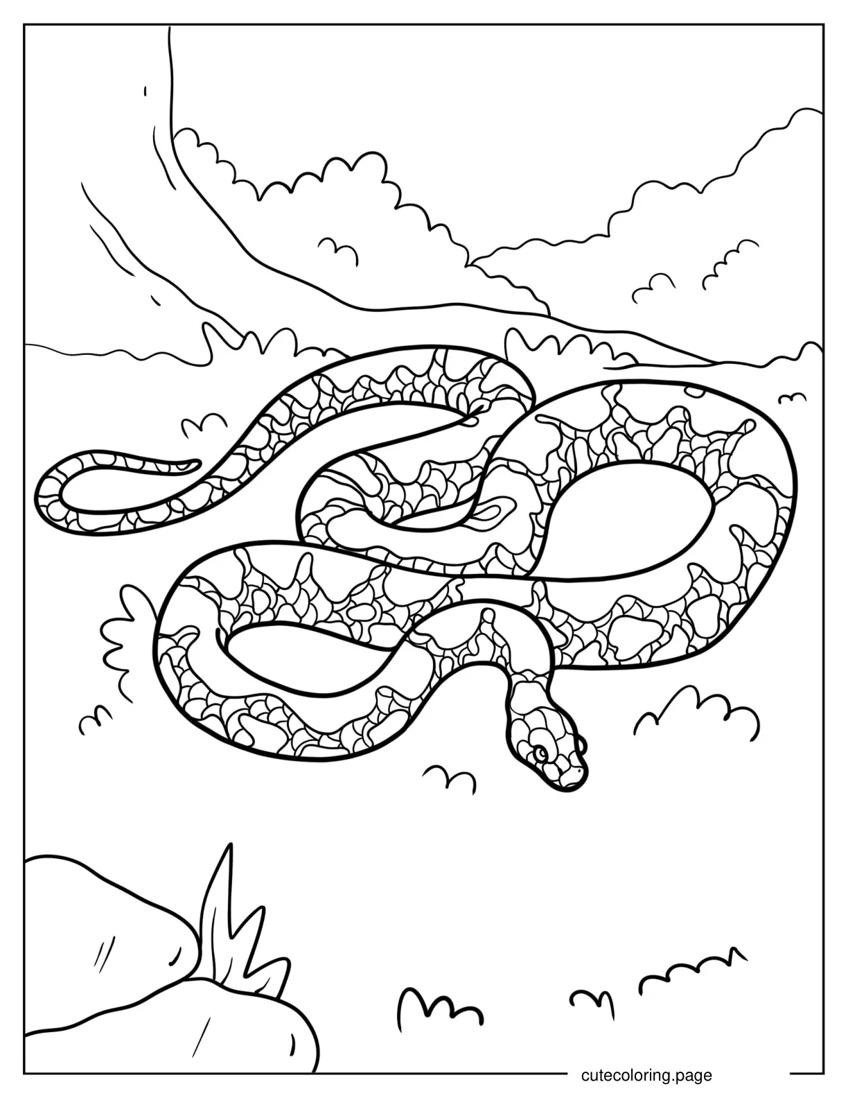 Mangrove Snake To Color coloring page