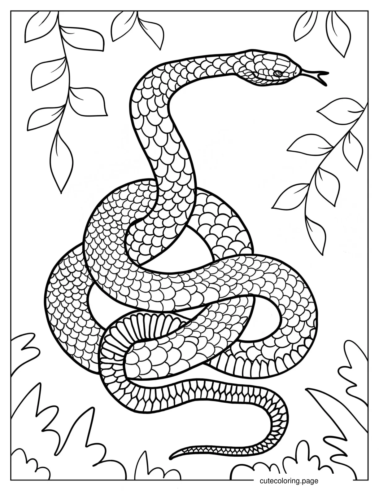 Poisonous Eastern Brown Snake coloring page