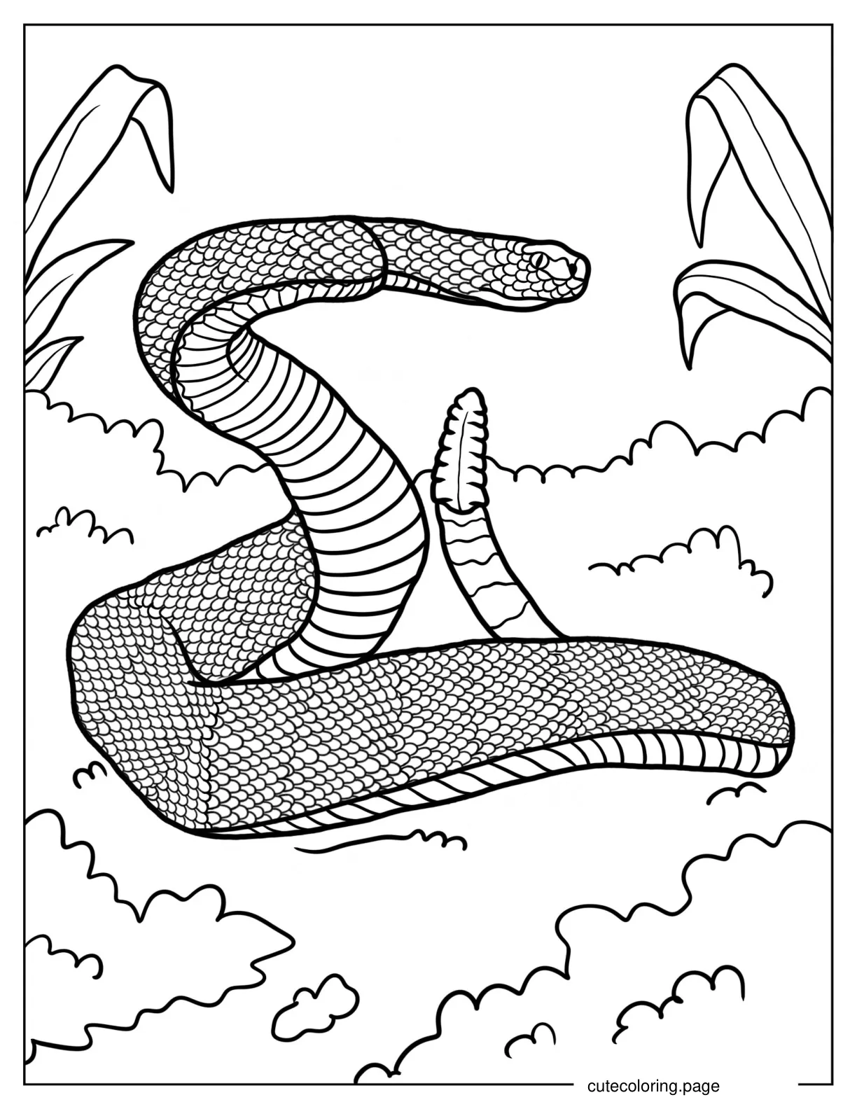 Rattlesnake With Arced Tail In Attack Position coloring page