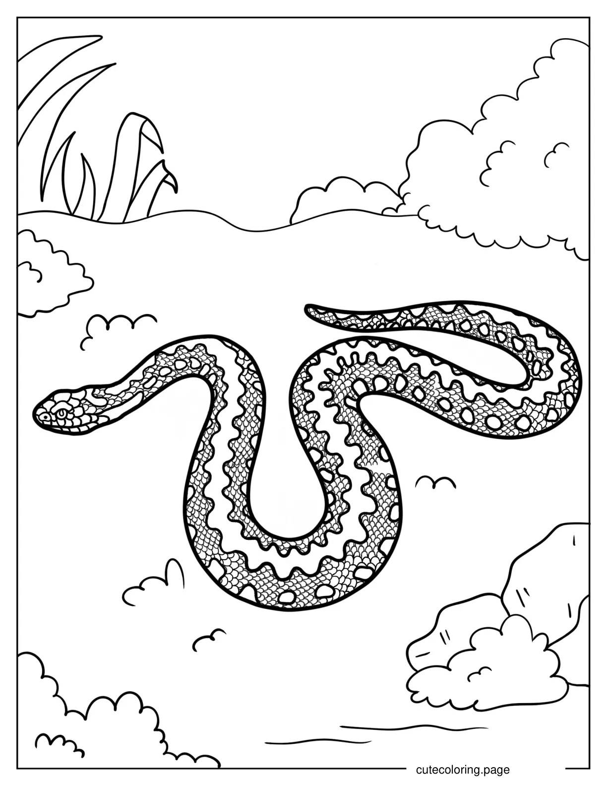 Snake With Detailed Scales To Color coloring page