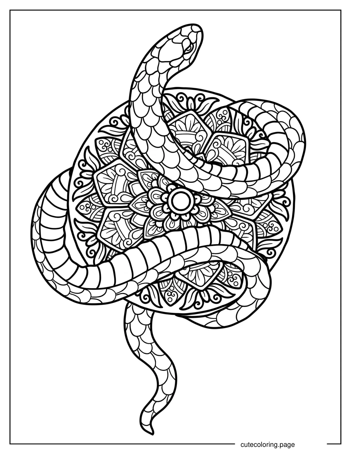 Snake Wrapping Around a Mandala To Color coloring page