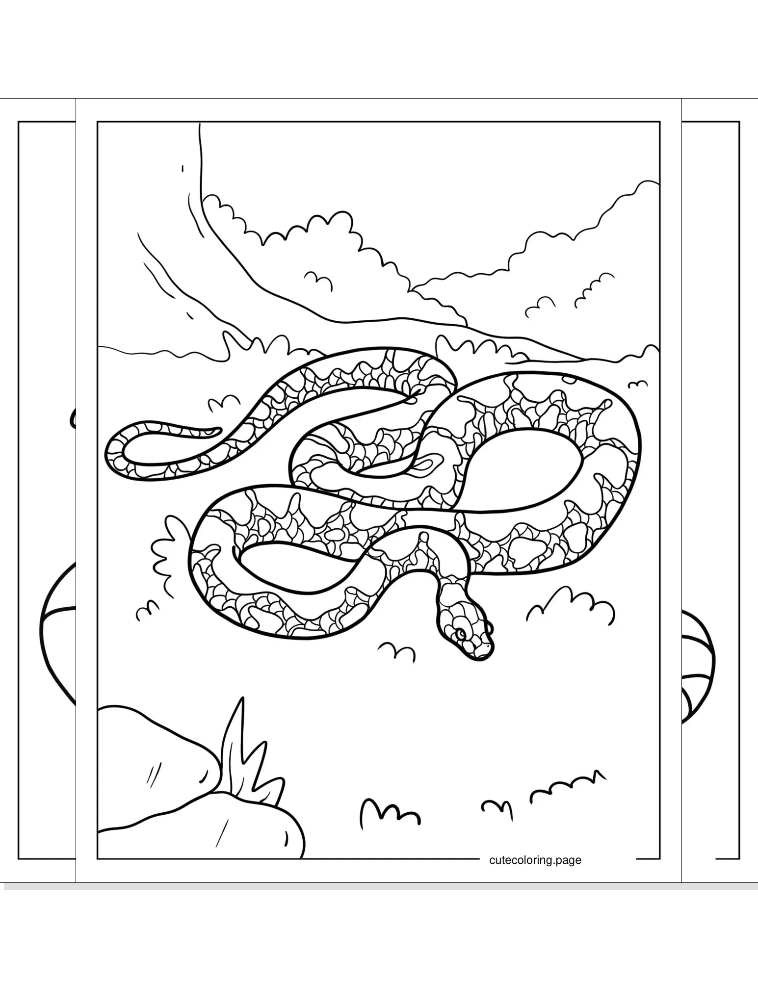 snake coloring pages coloring page