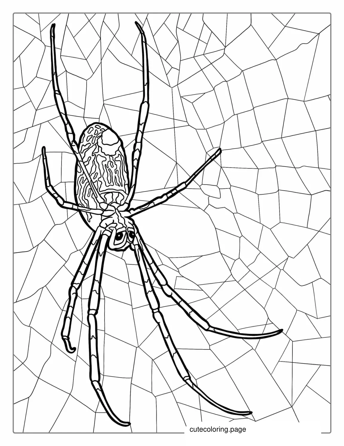 Brown Spider Coloring Page coloring page