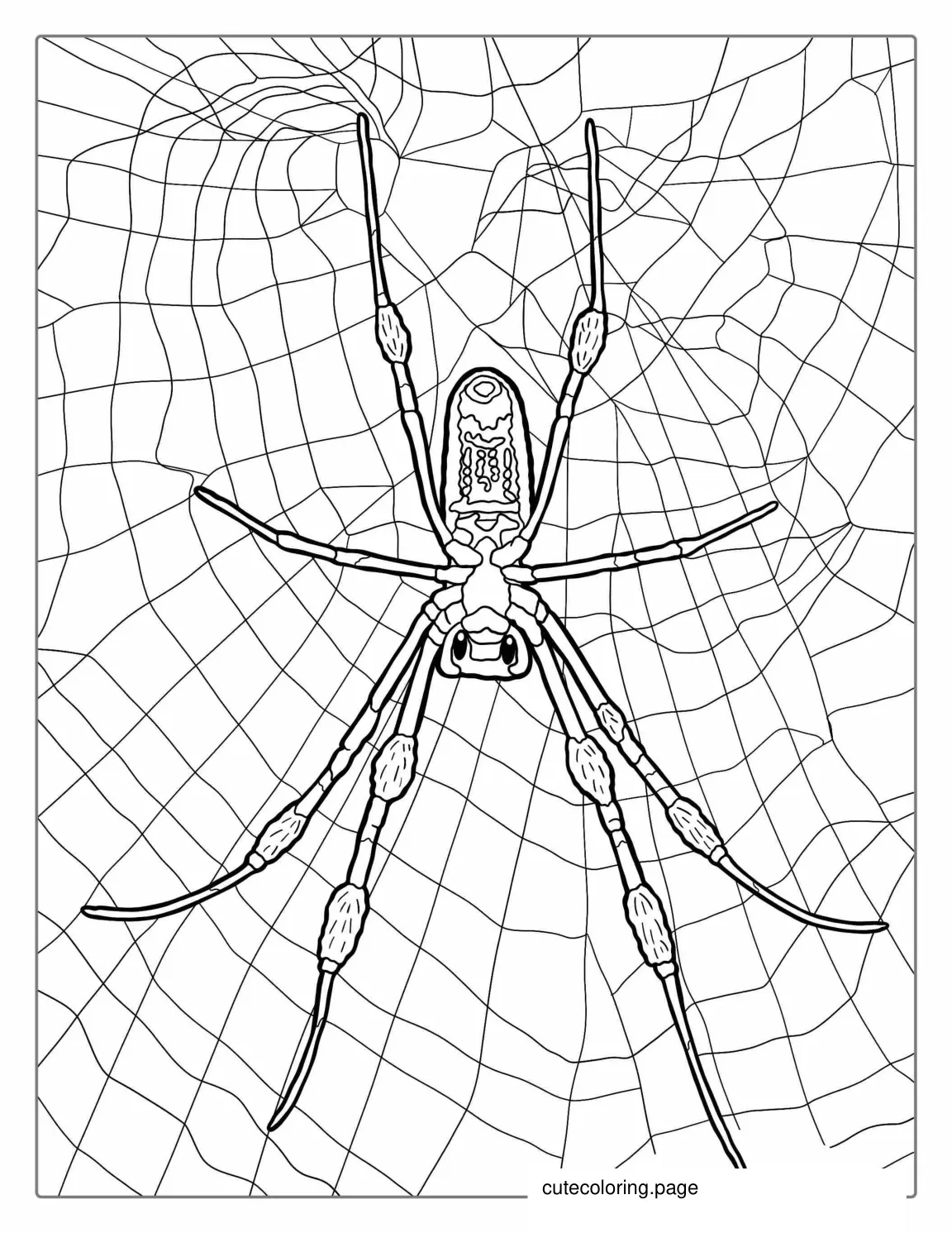 Brown Spider Coloring Sheet coloring page