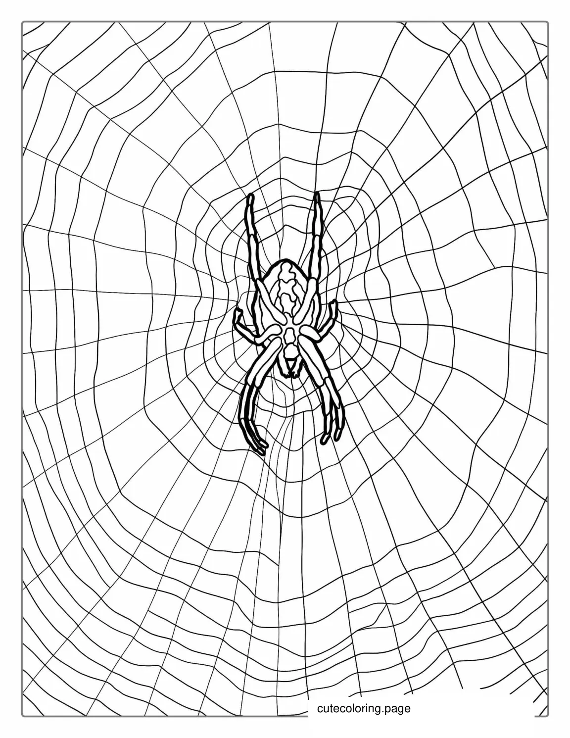 Common House Spider On Web coloring page