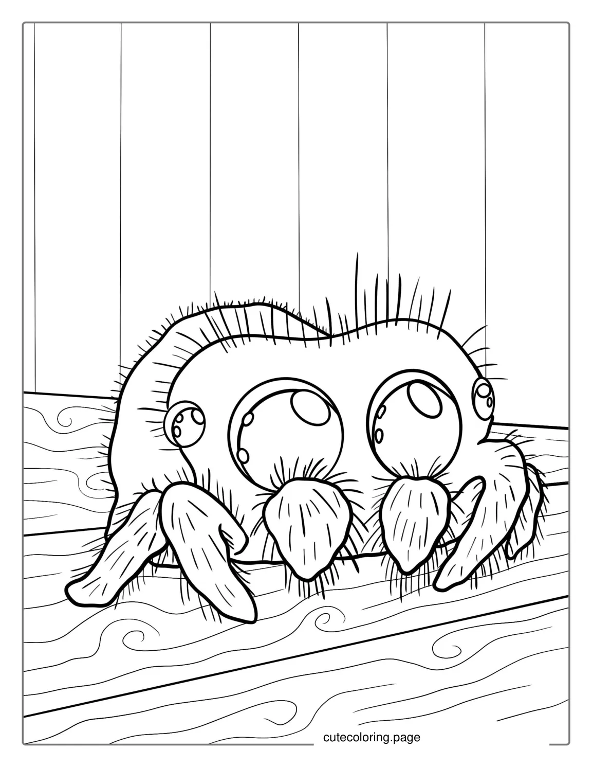 Cute Jumping Spider Coloring Page For Kids coloring page