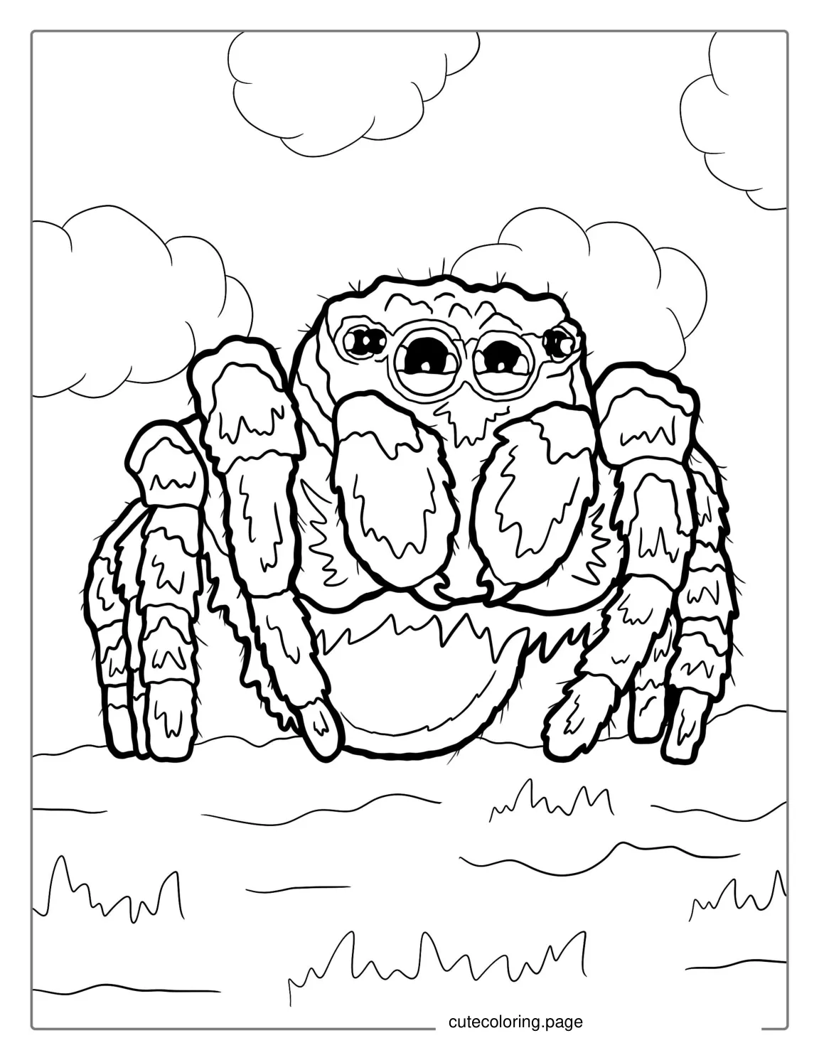 Cute Jumping Spider Coloring Page coloring page