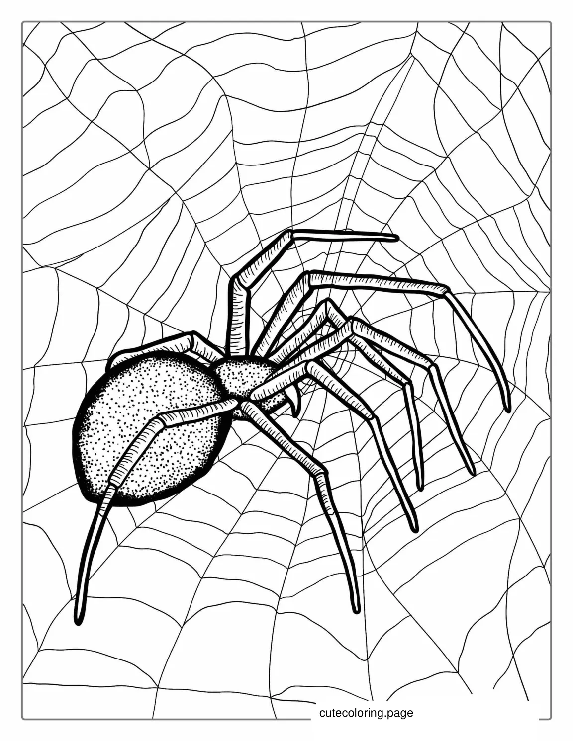 Detailed Black Widow Spider Coloring Sheet coloring page