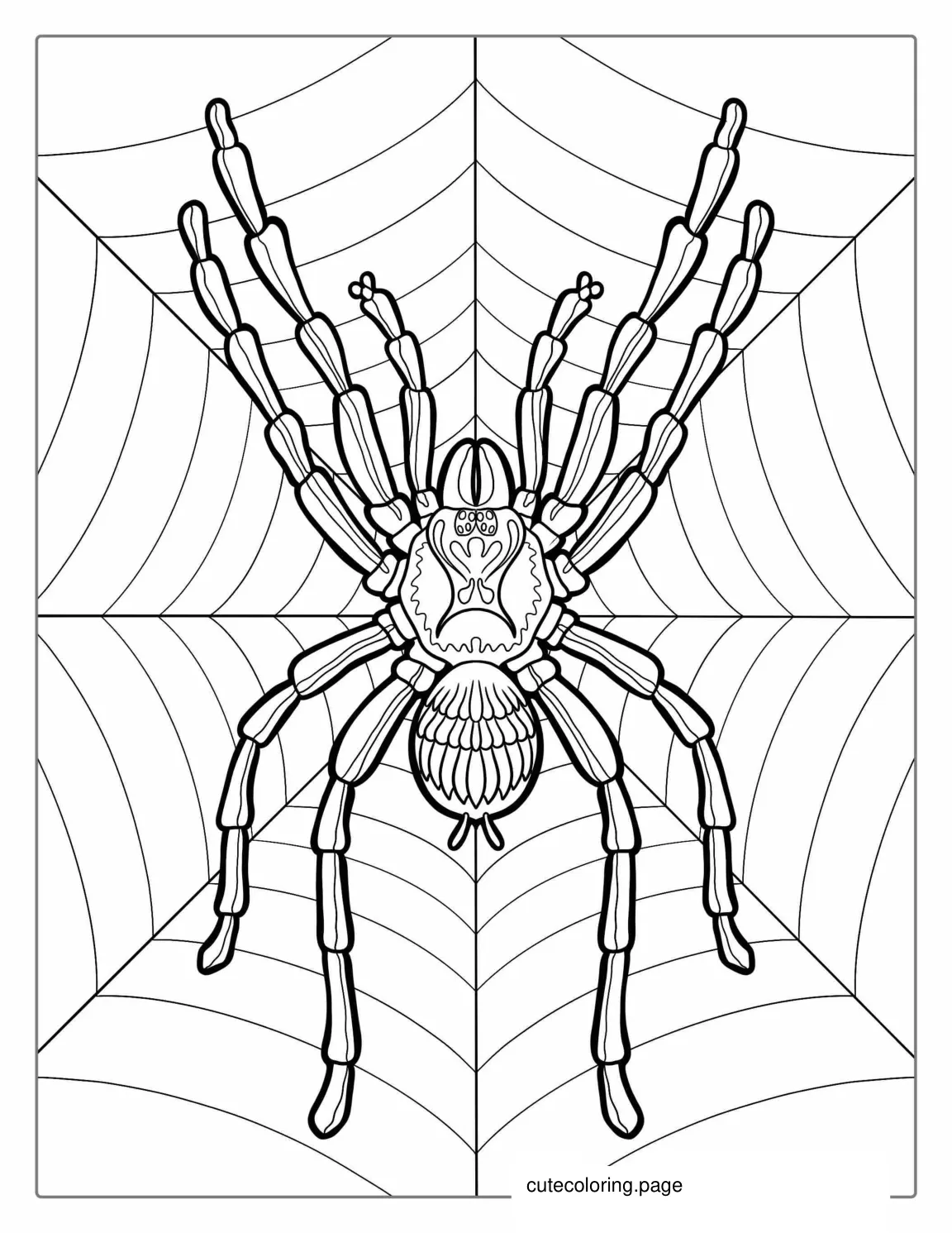 Detailed Huntsman Spider On Web To Color coloring page