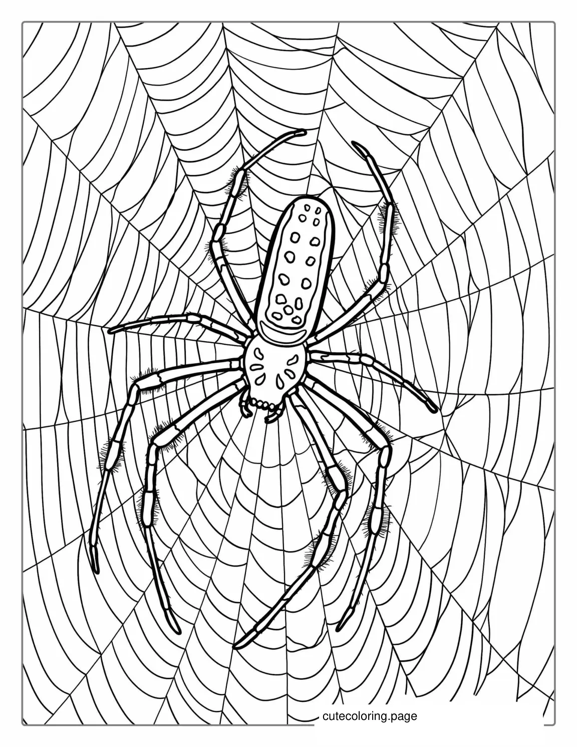 Detailed Huntsman Spider On Web To Color1 coloring page