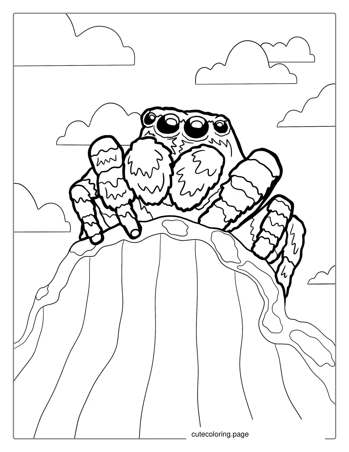 Himalayan Spider Coloring Sheet For Kids coloring page