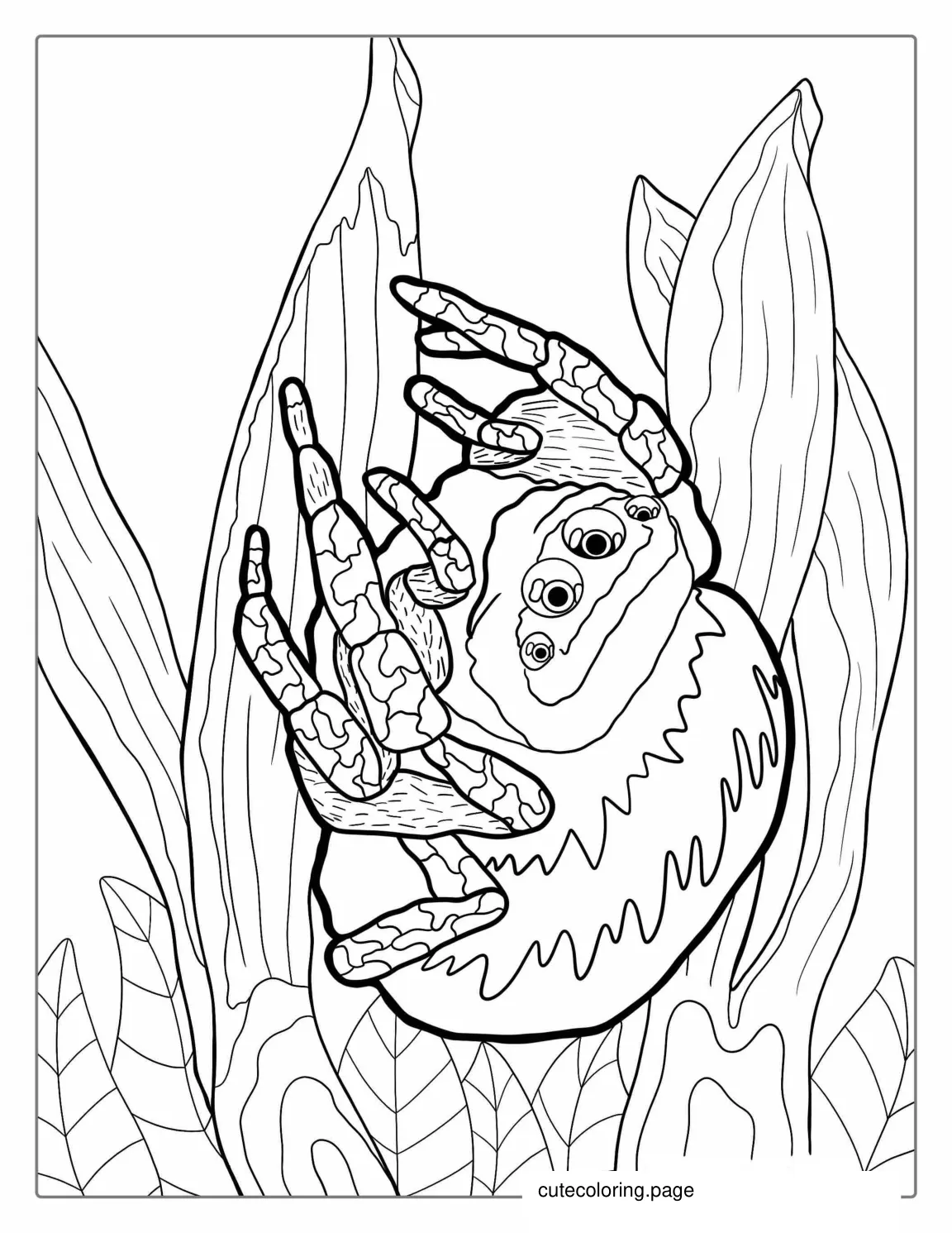 Jumping Spider Sitting On Leaves coloring page