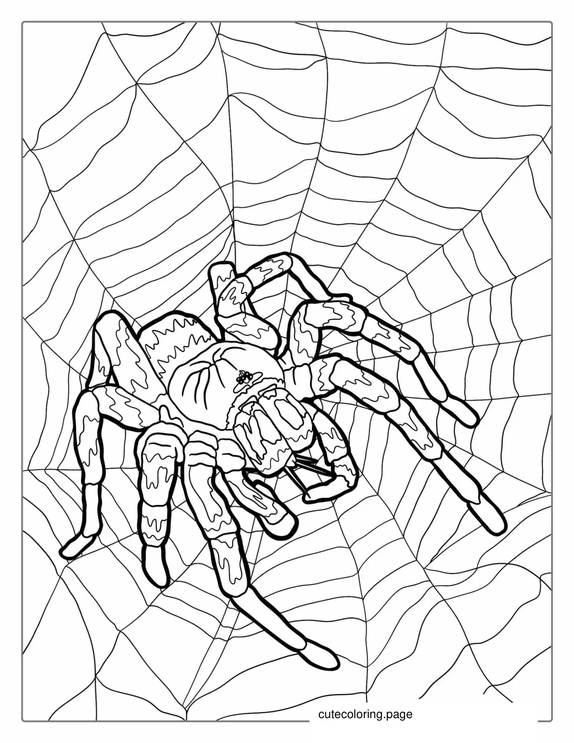 Mexican Tarantula Coloring Page coloring page