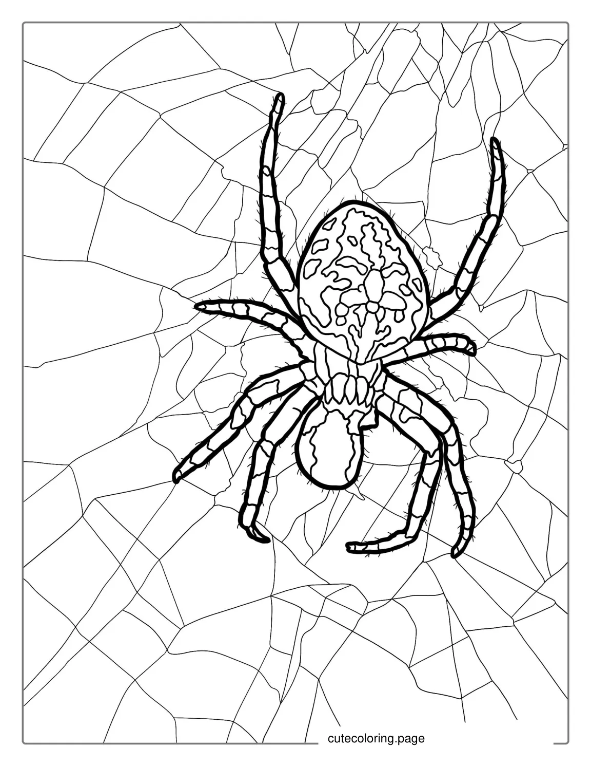 Sac Spider Coloring Page coloring page