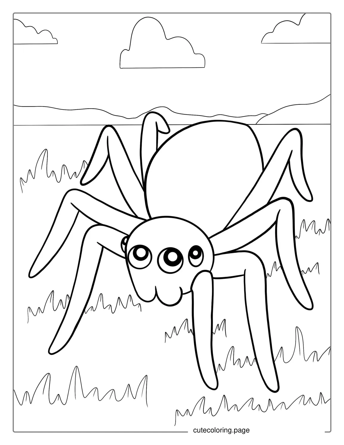 Simple Outline Of Spider To Color coloring page