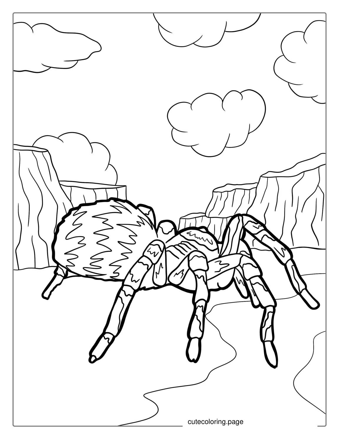 Tarantula Coloring Page coloring page