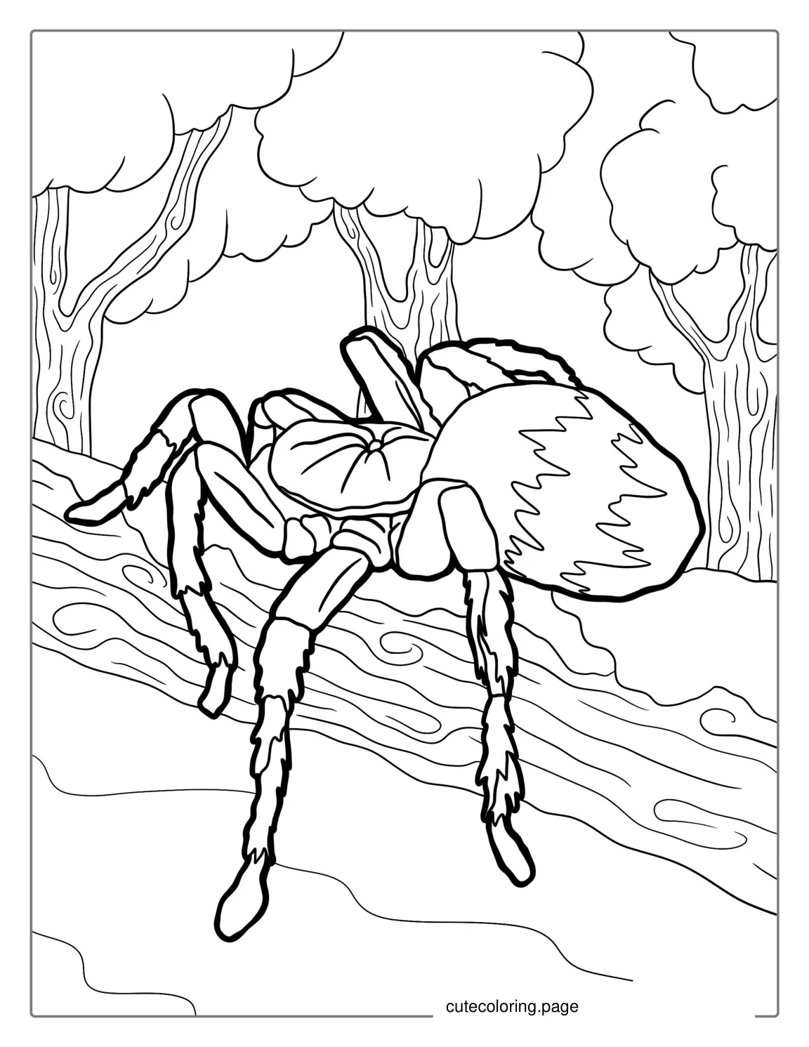 Tarantula Spider Resting On Log To Color coloring page