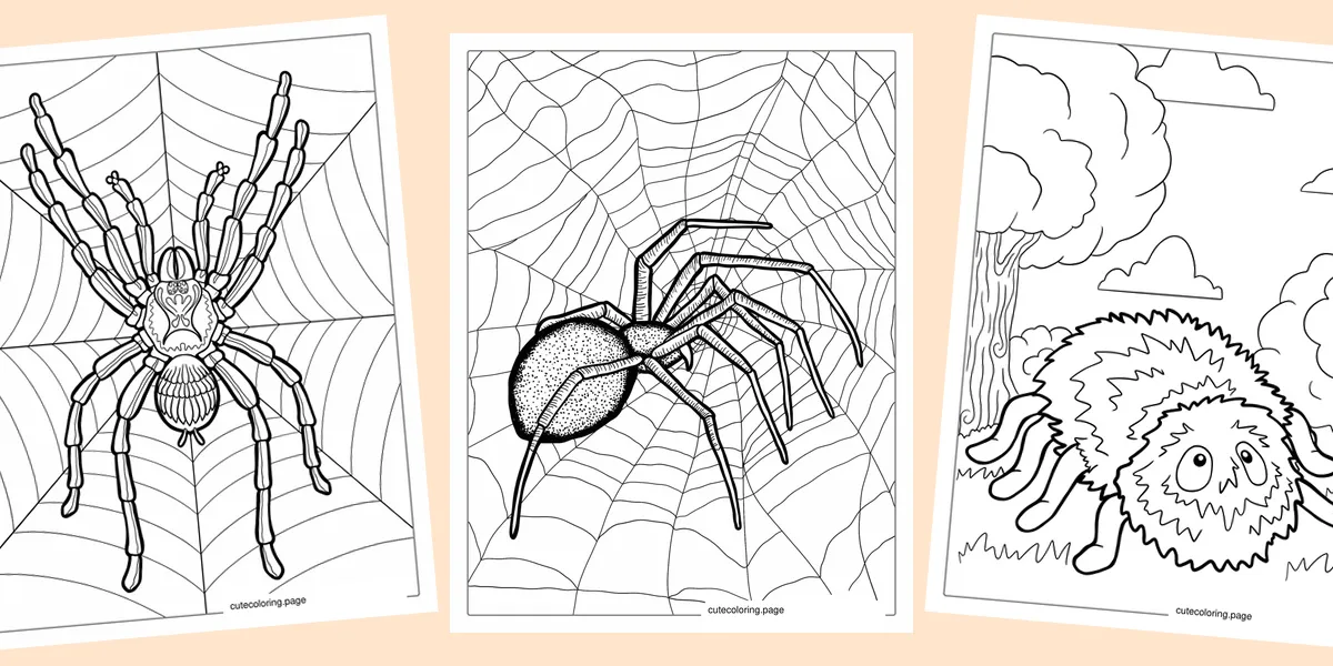 spider-coloring-pages