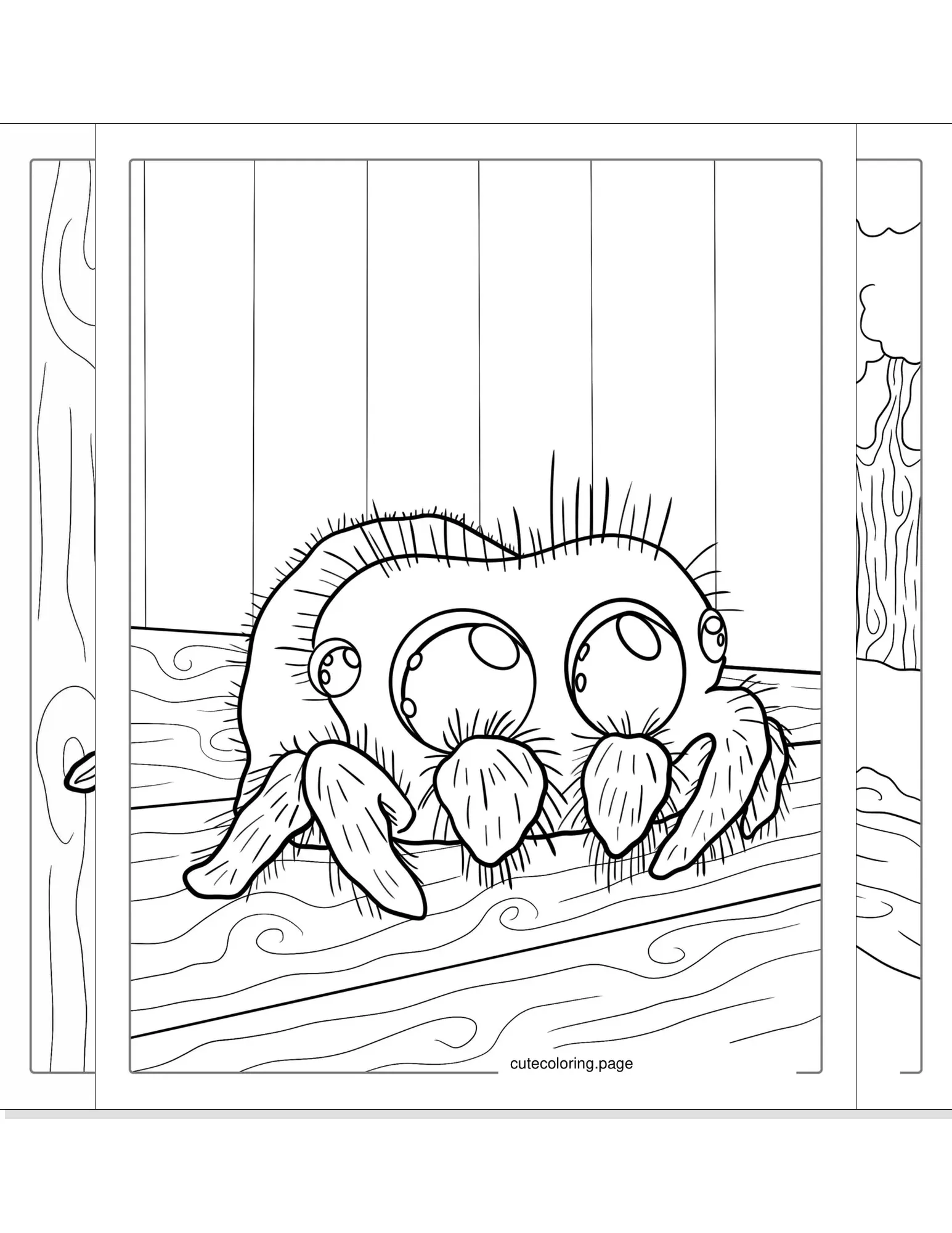 spider coloring pages coloring page