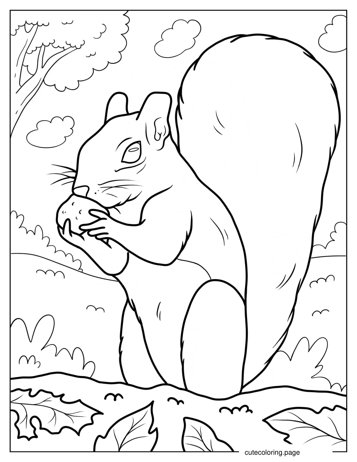 Realistic Squirrel Eating Nut On Field Coloring Page coloring page