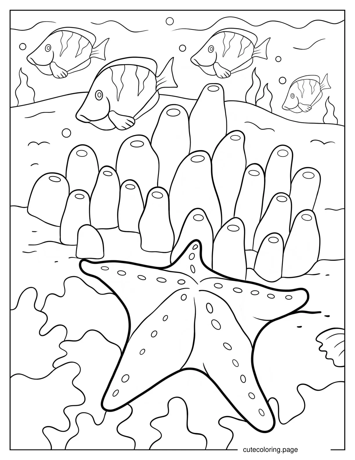 Cushion Starfish Next To Sea Sponges coloring page