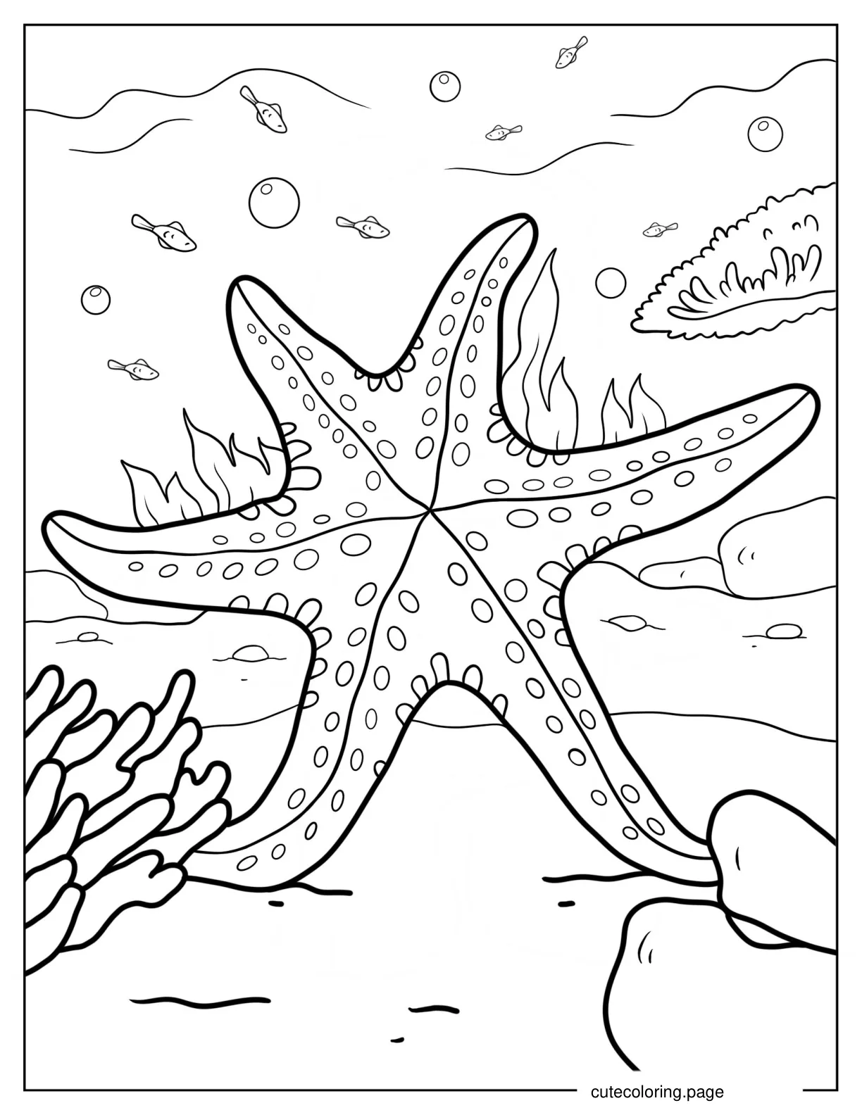 Detailed Starfish Underwater Coloring Page coloring page