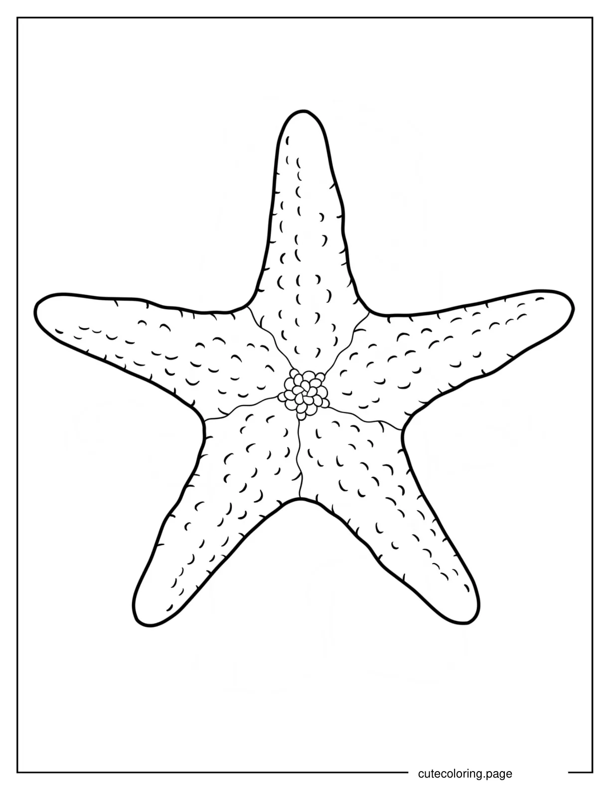 Easy Starfish Outline Coloring Page coloring page