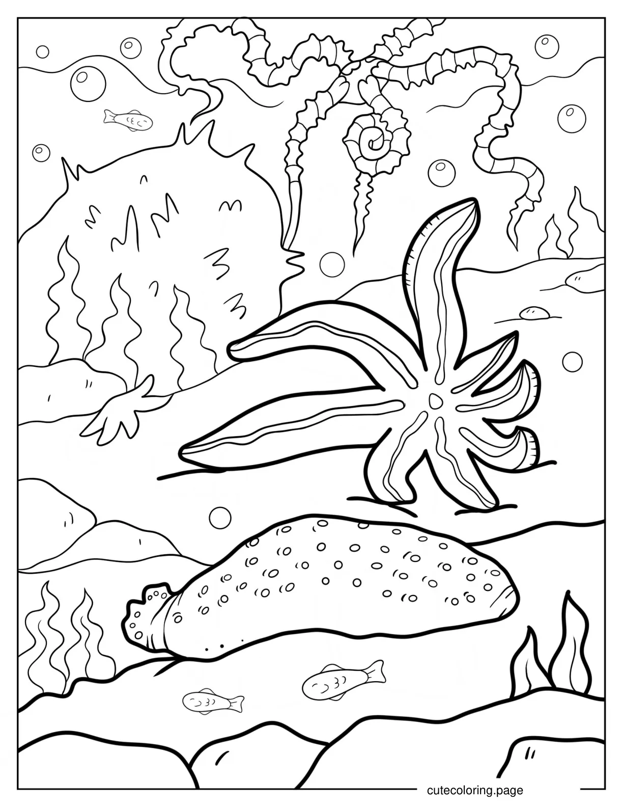 Simple Starfish On The Sea Floor With Sea Cucumber And Brittle Star coloring page